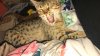 20170506_154842.jpg