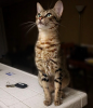 20170428_222617.png