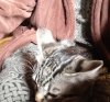 image.jpeg