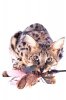 _66A7638-toy-small.jpg