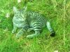 image.jpeg