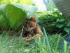 DSCN2721.JPG