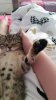 20170610_122444.jpeg