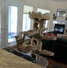 Caturday cropped 8-26-2017.jpg