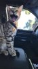 IMG_0494.JPG