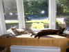 100_0782.JPG