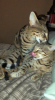 5B7A6048-7364-4F3D-B0DB-135CB2868AB9.png