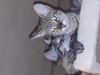 20180225_190915.jpg