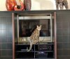 tv sit.jpg