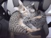20180411_164954_resized.jpg