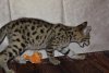 DSC_0028.jpg