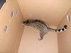 Resize of IMG_20180531_184925389.jpg