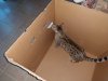 Resize of IMG_20180531_184931266.jpg