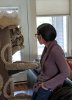 cat tree shy 2.jpg