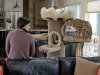 cat tree, maybe I like you.jpg