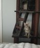SmartSelect_20180618-092042_Photos.jpg