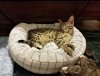 SmartSelect_20180618-092207_Photos.jpg