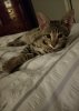 SmartSelect_20180622-110012_null.jpg