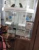 SmartSelect_20180711-191215_Photos.jpg