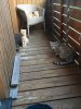 AllGirlsBalcony.JPG