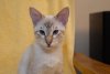 DSC_0854.JPG DSC_0854.JPG