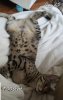 SmartSelect_20180827-125330_Photos.jpg
