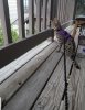 SmartSelect_20180831-152203_Photos.jpg