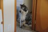 DSC_0589.JPG