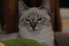 DSC_0588.JPG