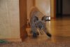 DSC_0560.JPG