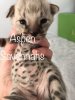 fullsizeoutput_8a8.jpeg