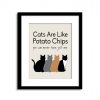 Cat quote.jpg