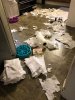 paper towels.jpg