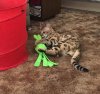 E97BDDBD-6F3B-43BD-B971-D70B246091D1.jpeg