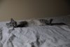 DSC_0911.JPG