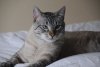 DSC_0912.JPG