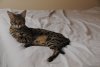 DSC_0948.JPG
