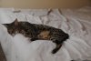 DSC_0950.JPG