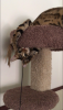 F4A5D26D-B5A8-4DC1-B2FD-70BAD79A5D1D.png