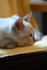 DSC_0813.jpg