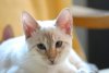 DSC_0818.jpg