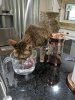 Taji water.jpg