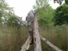 DSCN3504.JPG