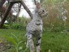 DSCN3482.JPG