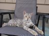 DSCN3623.JPG