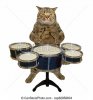 drumcat.jpg