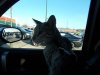 DSCN3816.JPG