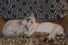 DSC_0726.jpg