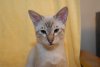 DSC_0852.jpg