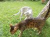 DSCN3554.JPG
